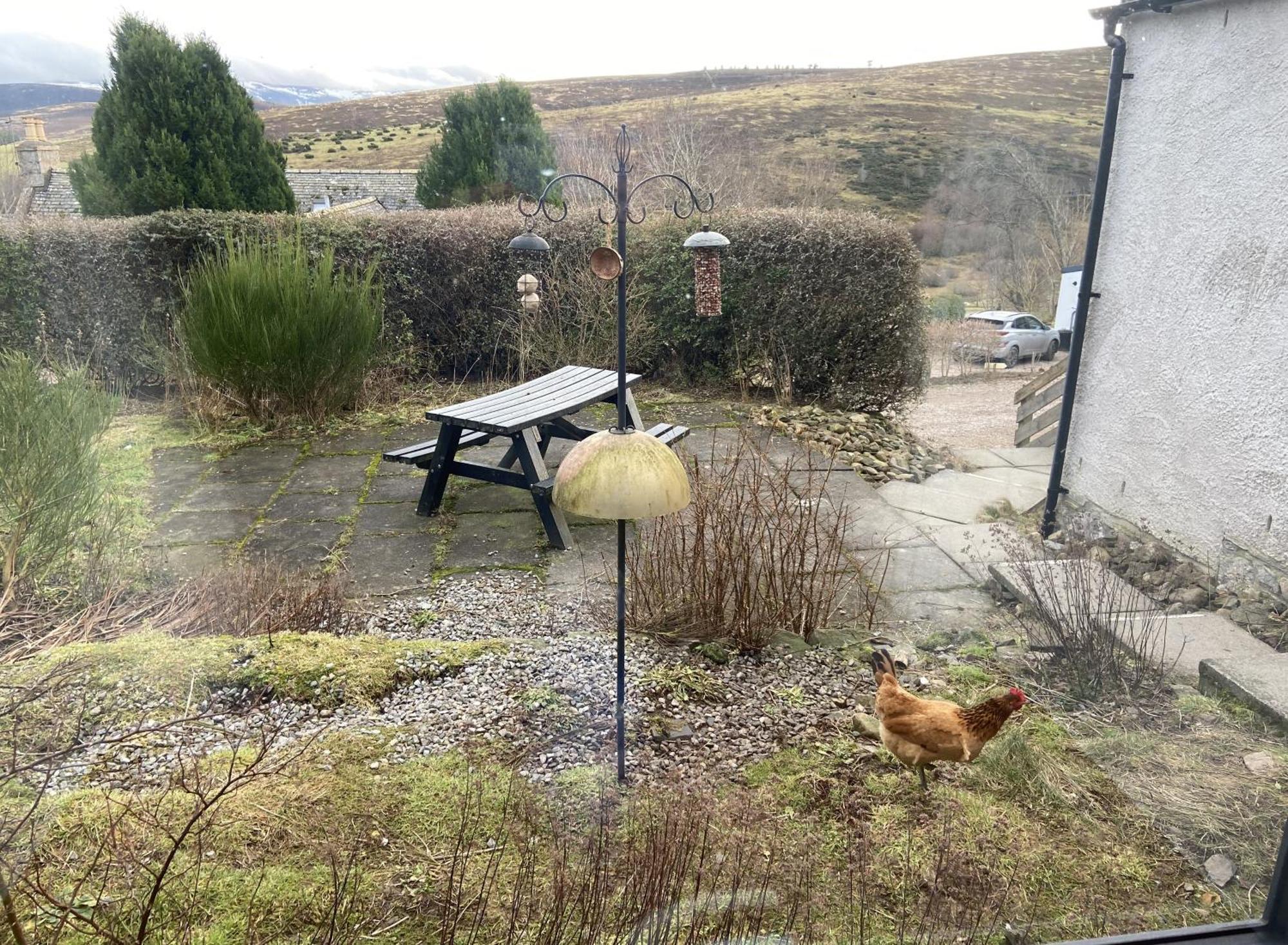 Easter Corrie Cottages Ballindalloch 外观 照片